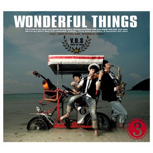 [중고CD] V.O.S(Voice Of Soul-브이오에스) / 3집 Wonderful Things (A급 Digipack)