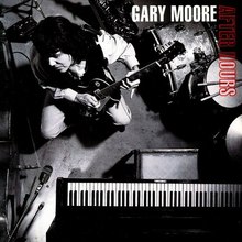 [중고] Gary Moore / After Hours (수입CD)