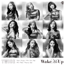 [개봉] 트와이스 (Twice) / Wake Me Up (Once Japan Fanclub Version/일본반/포카없음)